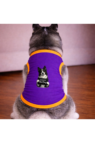 petite pati Purple Wanted Border Collie Tshirt Dog Apparel (100% Cotton Combe...