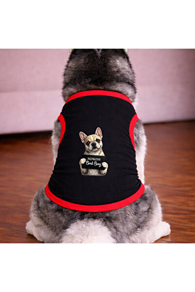petite pati تي شيرت أسود اللون للكلاب على الطراز الفرنسي (100% قطن ممشط) للسل...