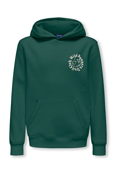 Only & Sons Kapuzenpullover OSJDANIEL Sweatshirt