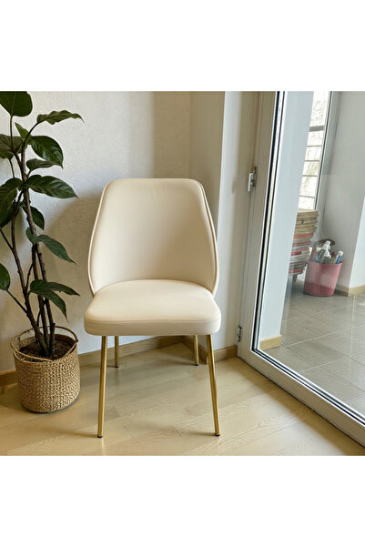 MSY HOME 6 Kişilik Nova White Gold Ayaklı Silinebir Kumaş Modern Ve Şık Sanda...