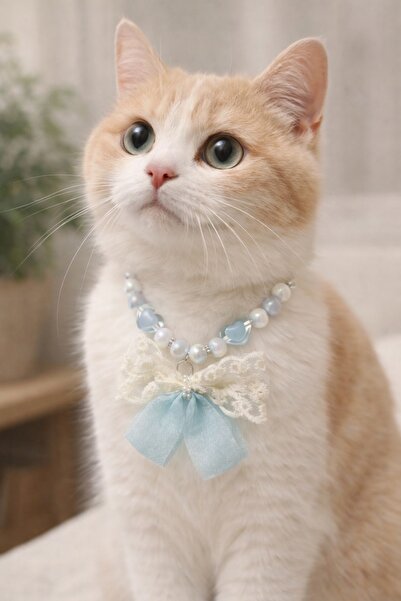 PHENORA قلادة أنيقة على شكل قطة بتصميم اللؤلؤ مع نمط الفيونكة - إكسسوار قطة راقٍ