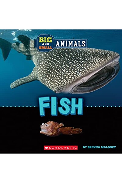Scholastic Us كبير وصغير: الأسماك (عالم الحياة البرية)