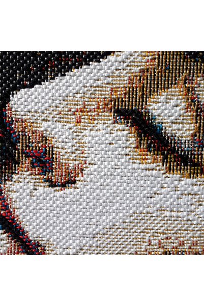 GoblenAL F6 Long-Lasting Tapestry Fabric - Violin, Music, Art - Conceptual Spaces, Creative Applications 80X110Cm