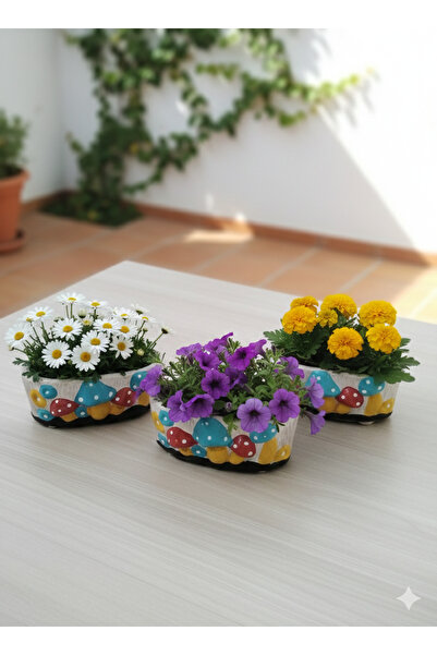 Butik 3 lü mantar saksı