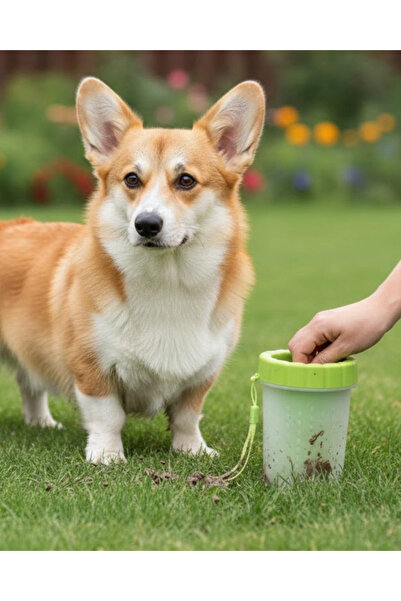 Silikon Kıllı Köpek Pati Temizleme Kabı Orta Büyük Irklar İçin Taşınabilir