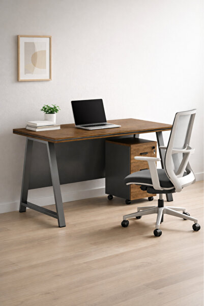 MARIA HOMES Modern Executive Desk with Wooden Top and Storage Drawer – Sleek ...