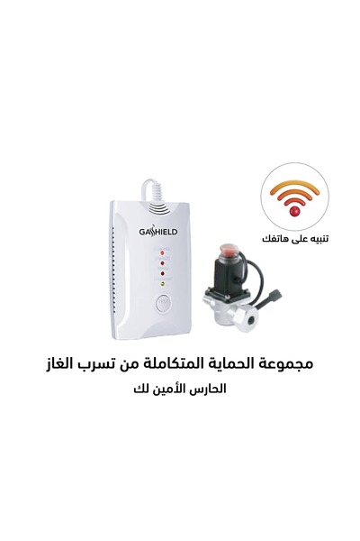 LPG Integrated gas leak protection system with self-closing function