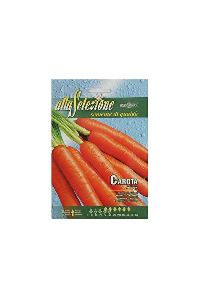Alta Carrot tese Seeds