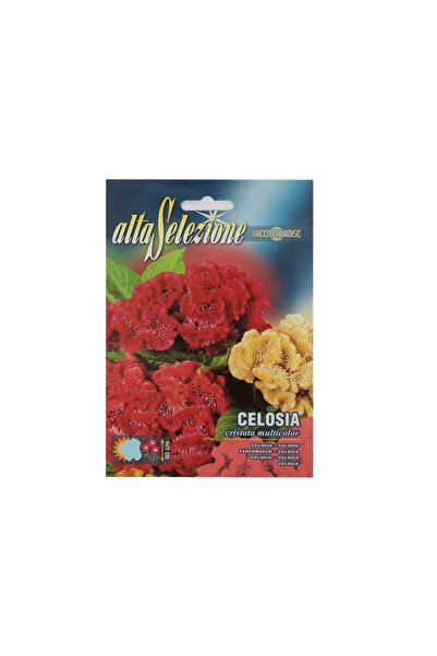 Alta Celosia Cristata Mixed Seeds