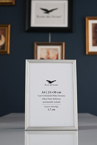 Raven Art Studio Ermitaj A4 Μέγεθος 21cm x 30cm Inox Silver Φωτογραφία Έγγραφ...