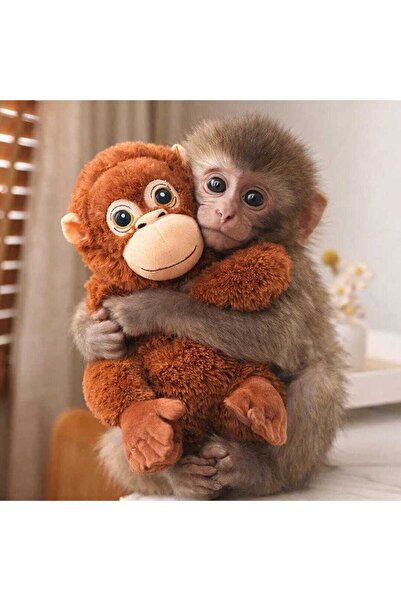 RABY Punch Monkey Plush, Viral Orangutan Plush Toy, Emotional Support Stuffed...