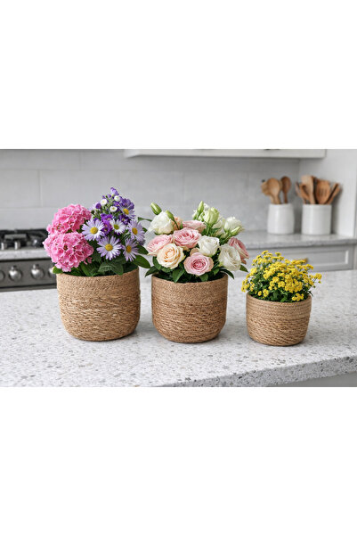 ADA Ahşap oyma ve çerçevecilik 3lü Mini Saksı Seti