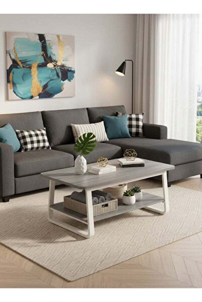 Taimi 2-Tier Wooden Coffee Table with Metal Legs, Modern Table for Living Roo...