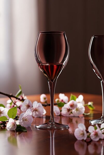 Madame Coco Volante 4-lü Kırmızı Şarap Kadehi Seti