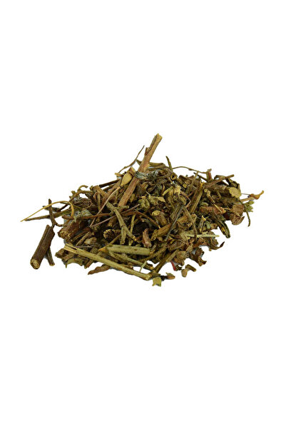 Mestore Hodan Ispıt Kaldırık Otu Doğal 100 Gr Paket - OEM458-10847