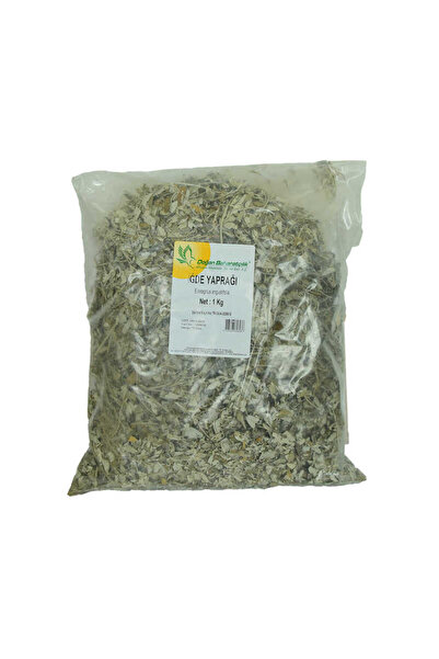 Mestore Mugwort Leaf Natural 1000 Gr Package - Oem458-10876