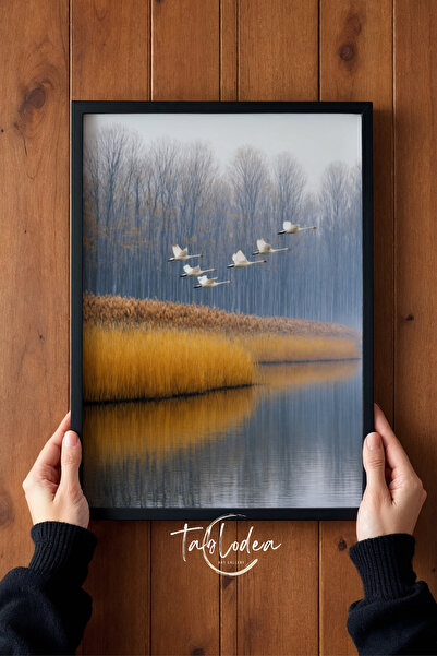 tablodea Swans Flying in a Reeds Nature Scenery Themed Framed Poster Td Oil P...