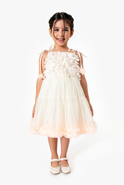 DFN Bag Special Occasion/Birthday/Party Evening Dress with Puffy Skirt