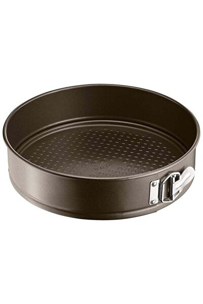 Generic صينية خبز تيفال سهلة الإمساك ذات قاعدة قابلة للفصل، رمادية اللون، 25 سم