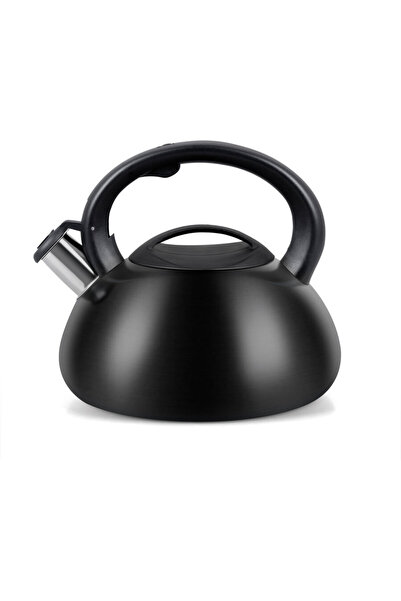 Promis Kettle TMC01BS AUGUSTO MATTE 3 liters INDUCTION, GAS