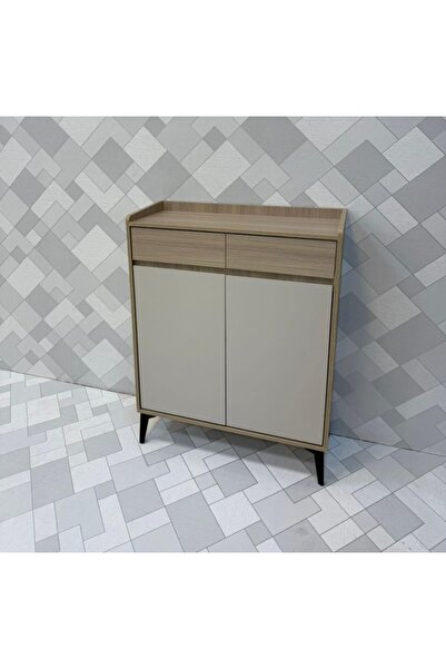 DEC24 Modern shoe cabinet