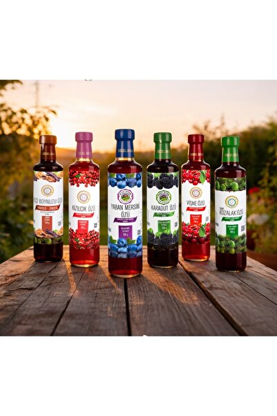 NİLSER GLOBAL GIDA Kızılcık Özü , Karadut Özü , Yaban Mersini Özü , Keçiboynu...