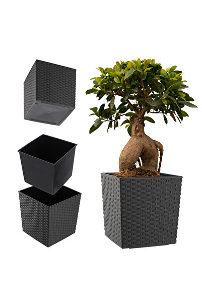 KADAX Ghiveci de flori Ghiveci de flori 19cm Capac din plastic grafit cu inse...