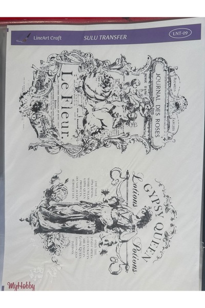 LİNEART Sulu transfer LNT09