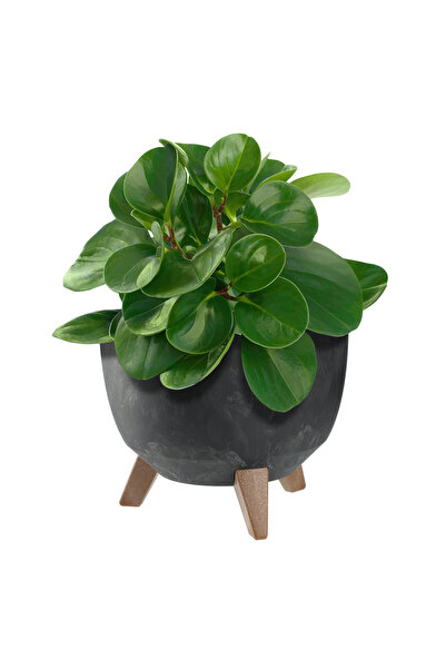 KADAX Ghiveci de flori 24 cm, capac + picioare, jardinieră din plută, negru