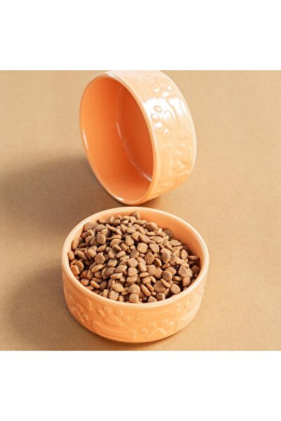 Pettrend Turuncu Kedi Köpek Mama Kabı 2li Seramik Kabartmalı Kedi Köpek Mama ...