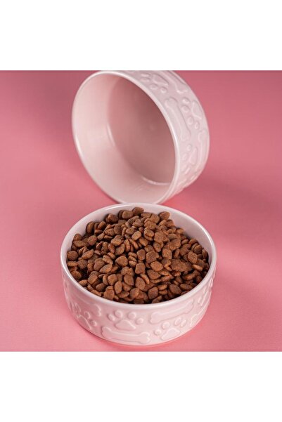 Pettrend Pembe Kedi Köpek Mama Kabı 2li Seramik Kabartmalı Kedi Köpek Mama ve...