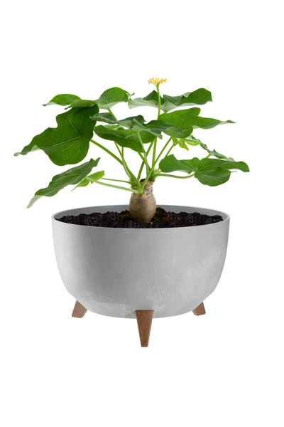 KADAX Ghiveci de flori 33cm, capac + picioare, suport de flori din plută, gri