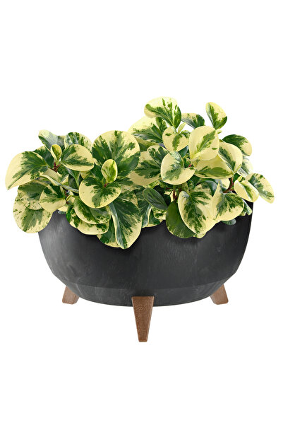 KADAX Ghiveci de flori 40 cm, capac + picioare, jardinieră din plută, negru