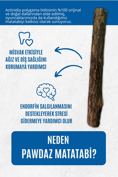 pawdaz Orijinal Matatabi Çubuğu Kalın Tekli Silvervine Stick (1 Adet)
