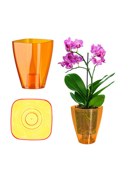 KADAX Flowerpot Orchid Planter Plastic Planter Orange 9cm