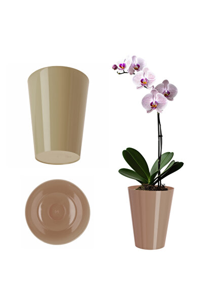 KADAX Flowerpot Orchid Planter Plastic Flowerpot Beige Solid 13cm