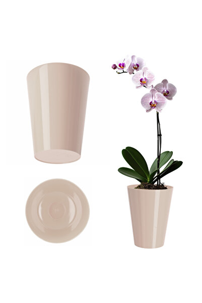 KADAX Husă pentru ghiveci de flori pentru orhidee, plante din plastic, crem, ...