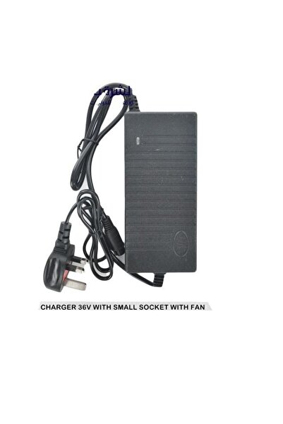 Rally شاحن طاقة سكوتر دريفت الكهربائي 36 فولت مع مقبس صغير ومروحة