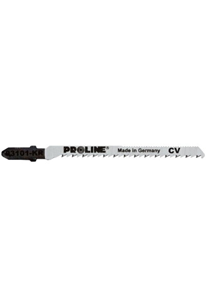 OEM PROLINE PENDULUM BLADE 2.5X75/100MM BILATERAL WOOD, 5/SET