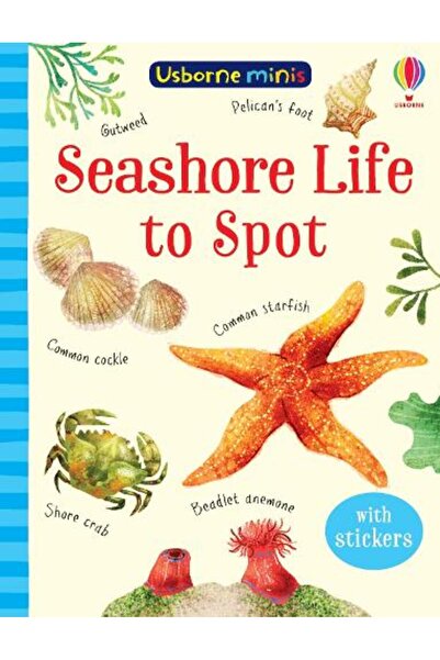 Usborne Publishing Ltd Seashore Life to Spot