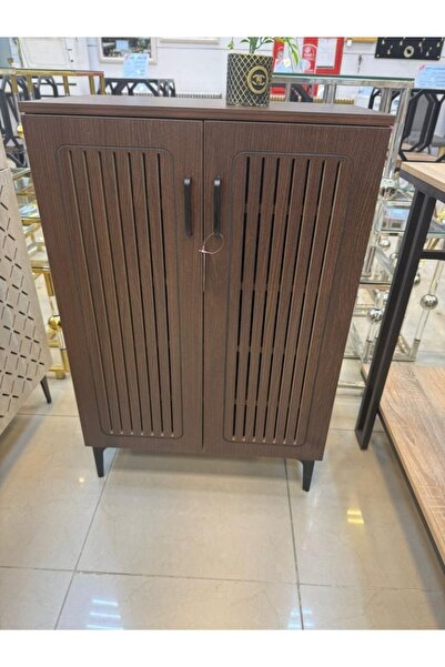 DEC11 Modern shoe cabinet with an elegant design