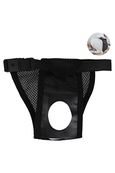 OEM Black Protective Pants for Small-Medium Dogs