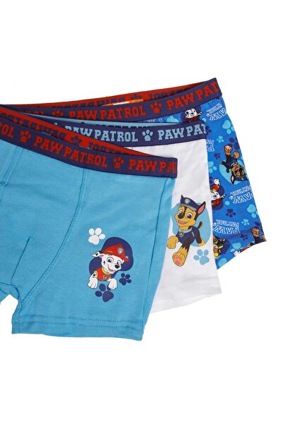 OEM Paw Patrol White Ciel Bleu Boxers Set for Kids - 3 Pairs 6-8 Years