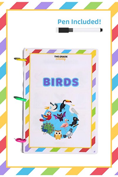 The Grade Activity Summer Erase Learning Birds Educational Toy Educational Se...