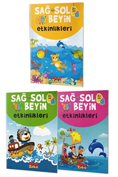 Aktif Düşünce Yayınları مجموعة أنشطة الدماغ اليمنى واليسرى للأطفال بعمر 3 سنوات