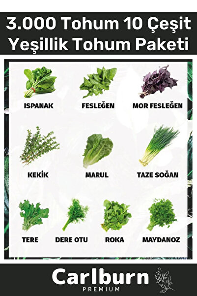 Carlburn 12 Ay Ekim Yapılabilen 3.000 Tohum Ayrı Ayrı Paketli 10 Çeşit Yeşill...