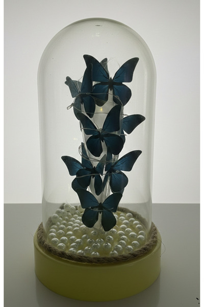 Home FANUS İÇERİSİNDE PERİ LED IŞIKLI KELEBEK CAM FANUS (KÜRE)