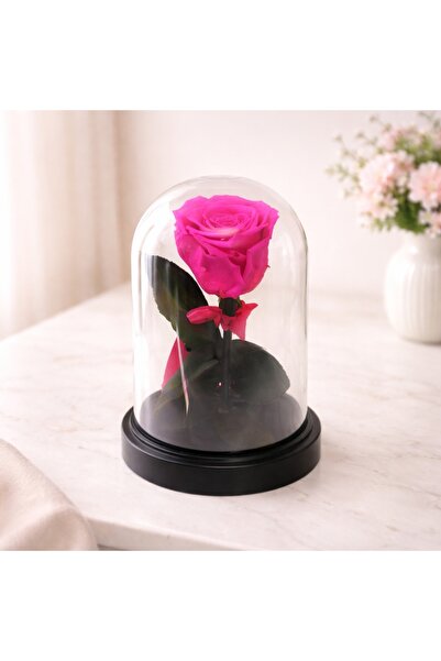 velve Trandafir criogenat cu funda, in cupola de plastic, pe blat negru, roz,...