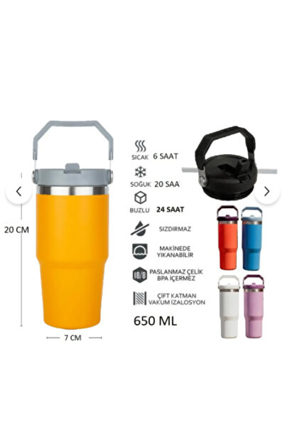 Globox Steel Thermos with Straw and Handle Wide Top 650 ml (Yellow)