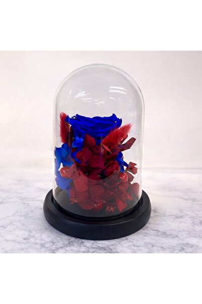 velve Trandafir Criogenat in cupola de sticla cu hortensii si licheni, albast...